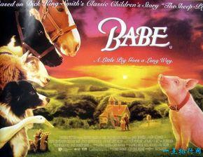 积极搞笑的电影,欢乐喜剧大集合