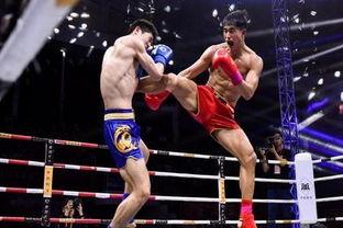 散打资料,传统武术与现代竞技的完美融合