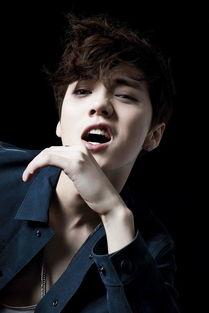 雷司令演员,揭秘葡萄酒世界的传奇人物