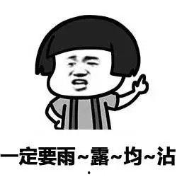 九宫表情包,趣味横生的网络文化新宠